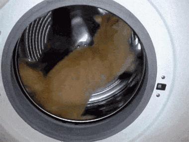 机洗*裤内**容易得暗病？这个锅我们袜子不背！