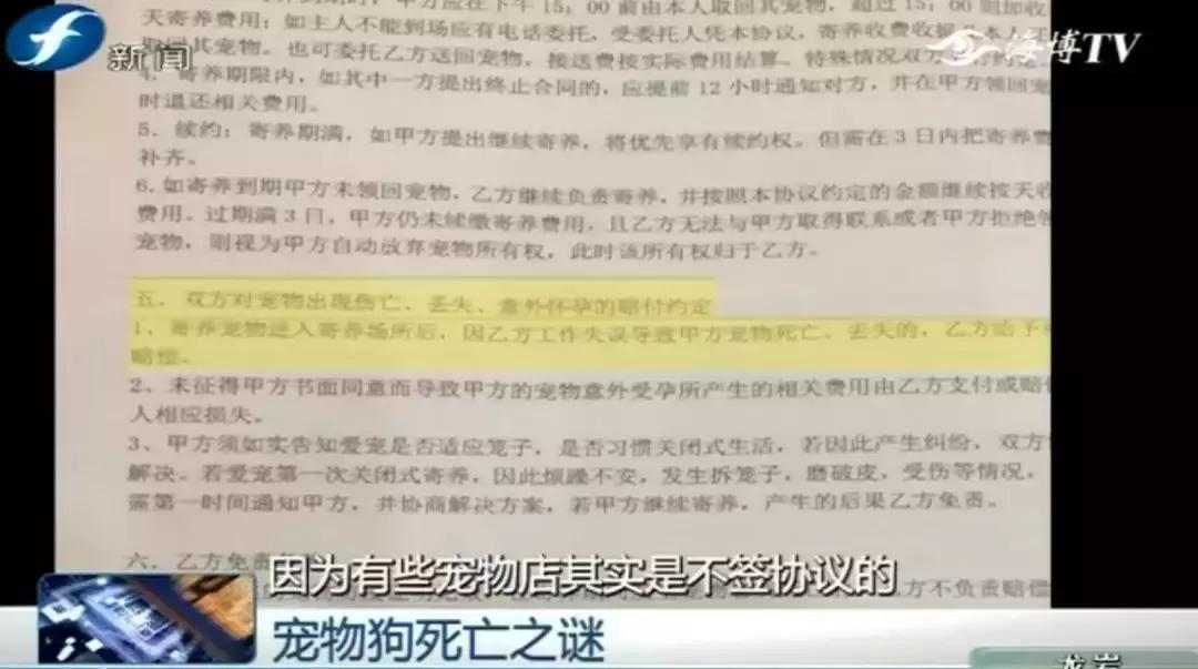 宠物店签订协议寄养死了怎么赔偿,为什么幼犬会在一夜之间莫名死亡