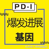 确保安全，锁定神效：四类基因突变，帮你精准使用PD-1！
