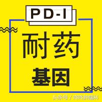 确保安全，锁定神效：四类基因突变，帮你精准使用PD-1！