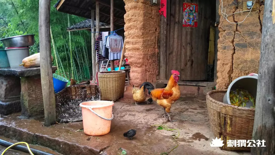 乡村小夫妻做自媒体9个月挣了12万,农民做自媒体真实收入