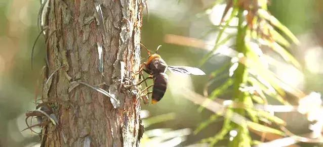 看到什么东西要远离,看到这些东西千万不要带回家
