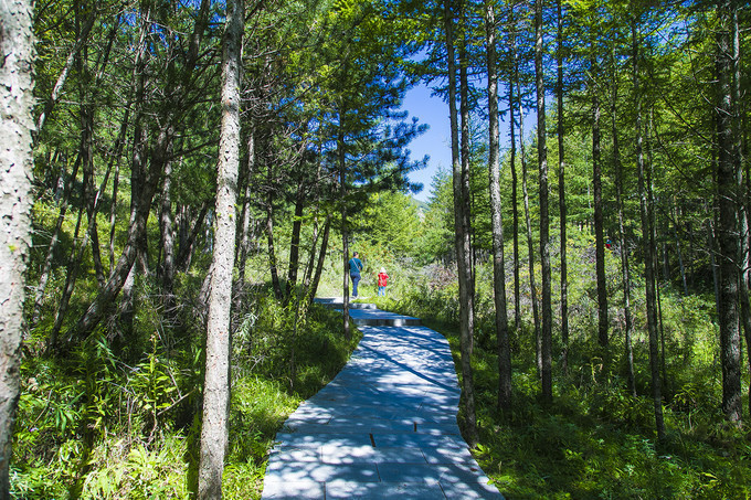 寻梦六盘山，美若九寨，毛主席在这里写下：不到长城非好汉
