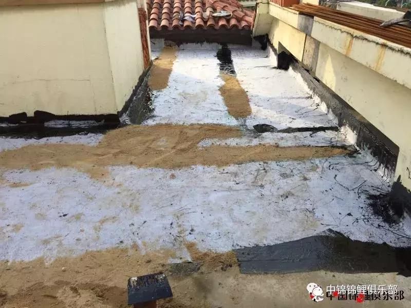 楼顶鱼池有哪些,屋顶鱼池的建造方法