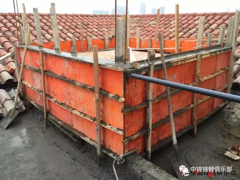 楼顶鱼池有哪些,屋顶鱼池的建造方法