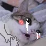 便宜的防晒好用吗,200元的防晒是什么档次