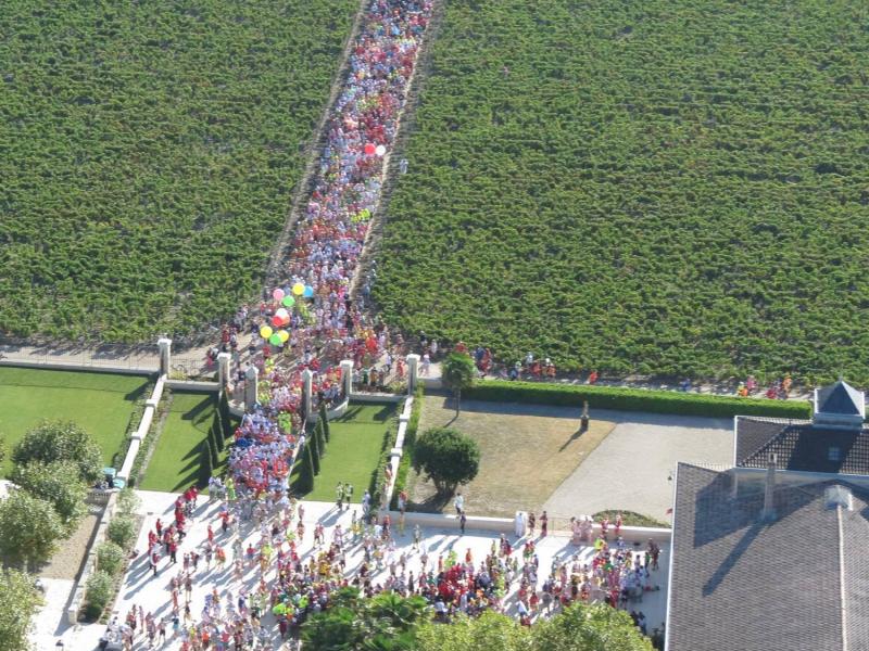 美酒美食享受美好生活,美酒佳肴美女