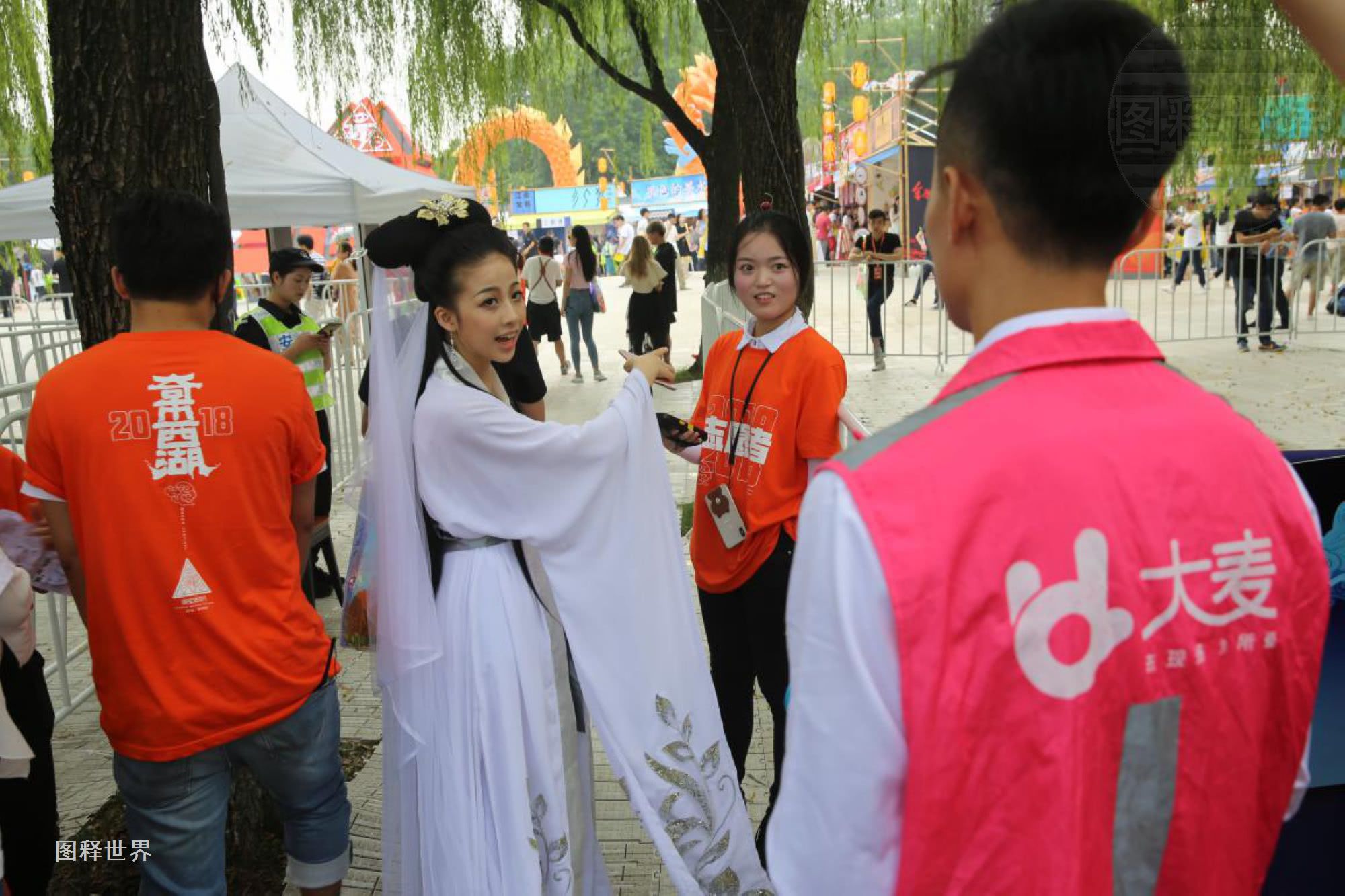 大麦哥直播回放,大麦哥视频