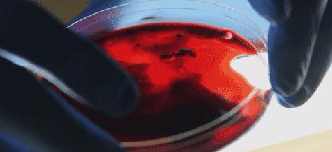 明明是科普纪录片，主持人却用自己的血做起了“暗黑美食”