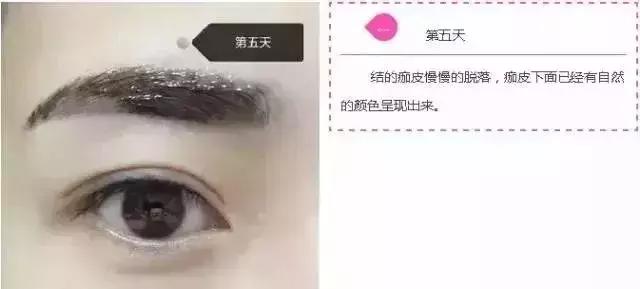 纹眉后一周眉毛变化过程,纹眉后1到七天的变化图