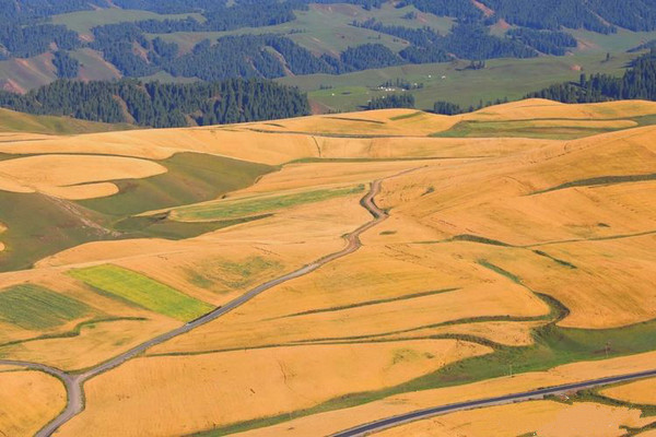 江布拉克的美景描述,风吹麦浪风景视频