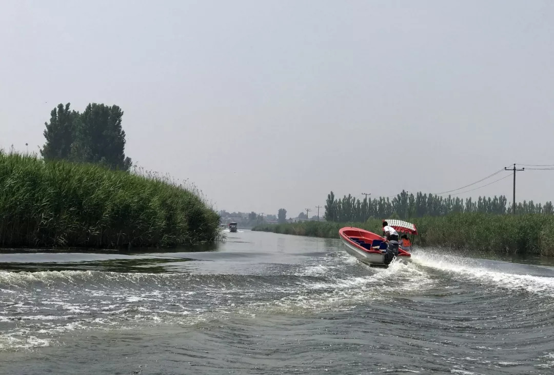 下站该往哪里去,下站了该去哪