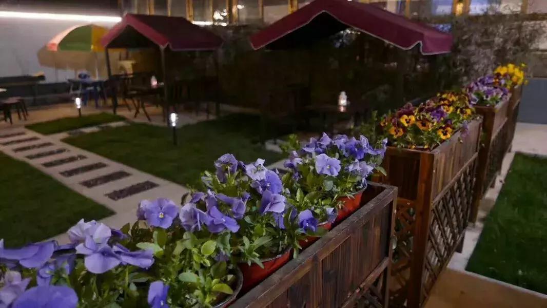 北京150家精品民宿大合集建议收藏,北京一宿三餐100元温泉民宿