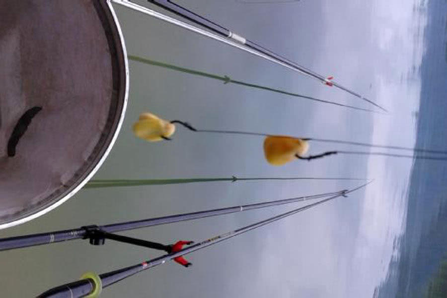 钓鲤鱼新鲜玉米好还是发酵玉米好,钓鲤鱼挂玉米粒的正确方法视频