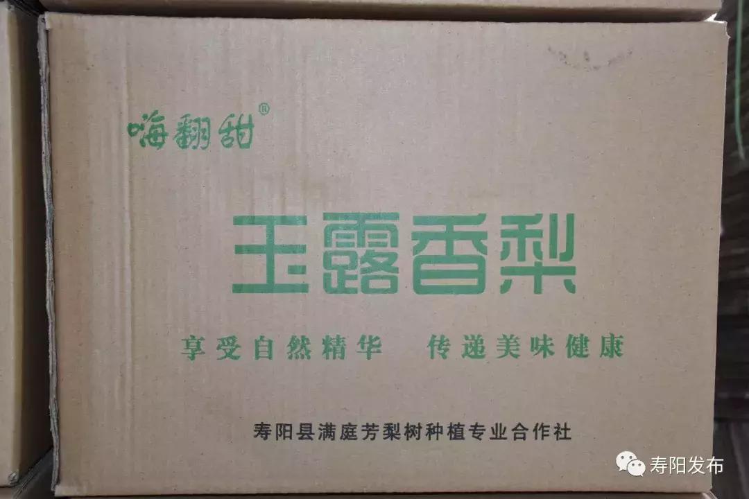 寿阳县富家沟梨儿熟了！又见梨果满枝头