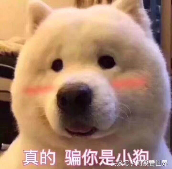 入户门正对别人入户门化解视频,入户门对着别人家的入户门