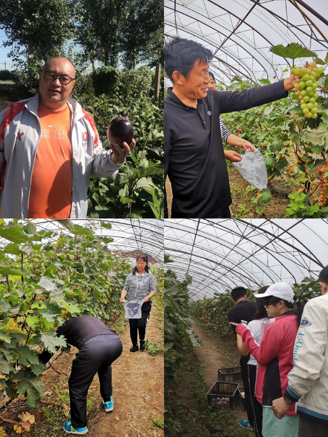 以秋会友菱近自然——沈阳华之菱金秋之旅欢乐行