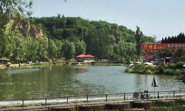 河南露营自驾游推荐,春节河南自驾露营最佳地方