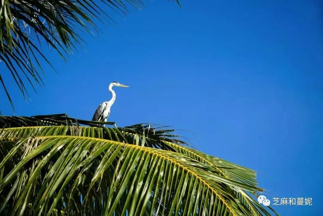 带两个孩子出去的妈妈,带两个孩子的妈妈去旅行