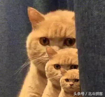 微信社群如何混群,微信社群怎么避免一个人重复加群