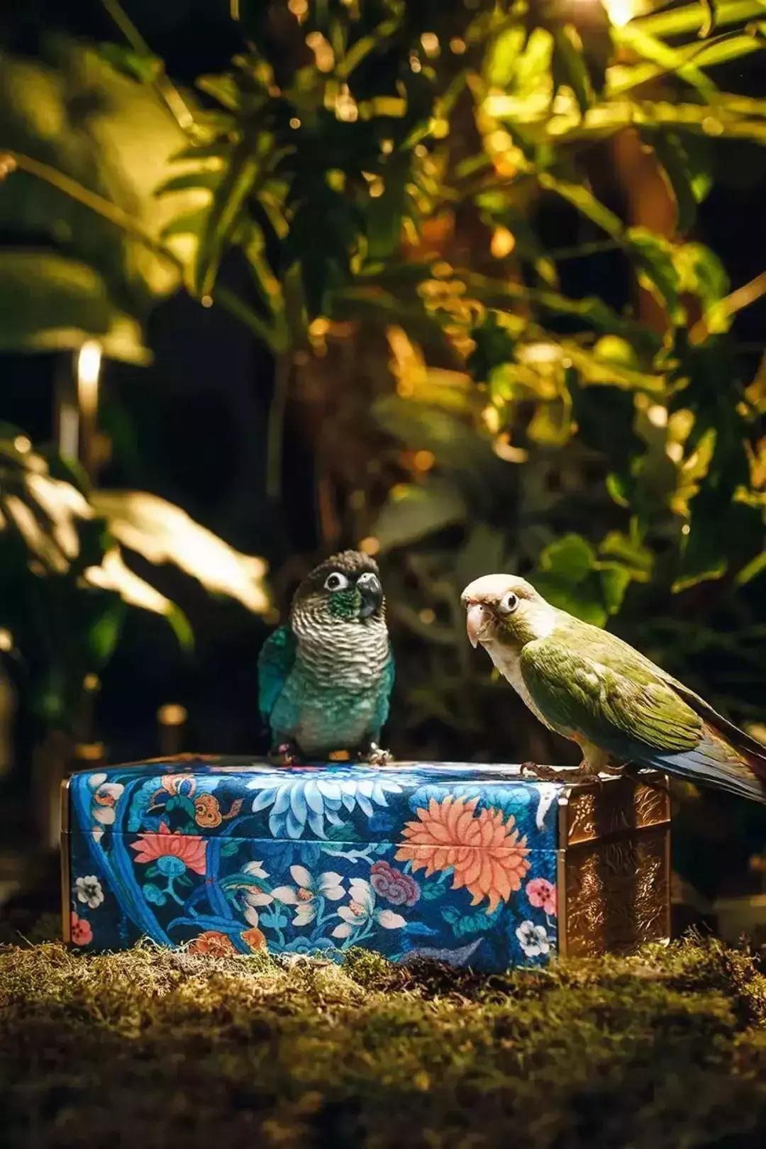 迪士尼中秋月饼礼盒推荐,中秋酒店月饼大赏