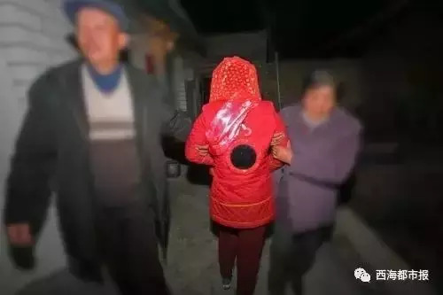 青海十大怪事完整视频,青海十大怪树