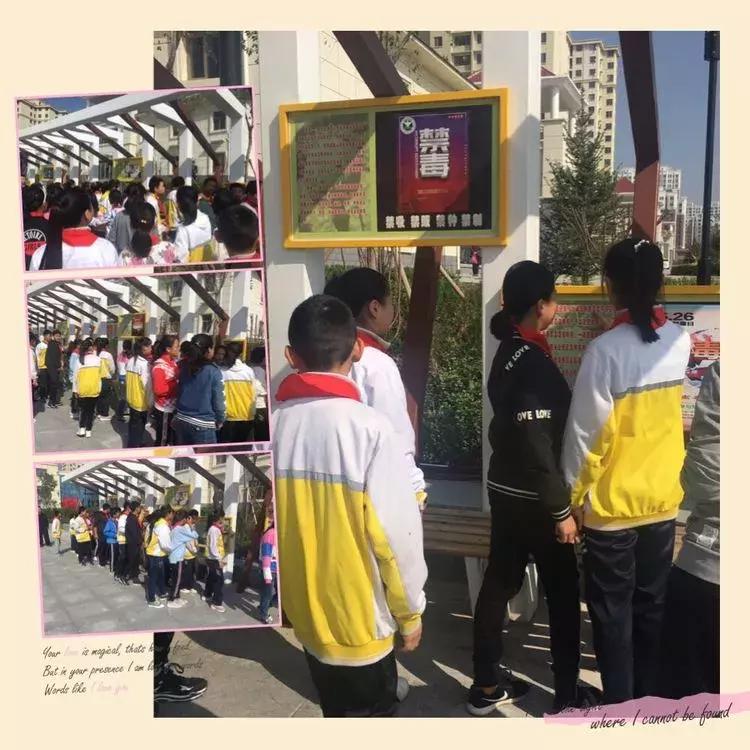 公园路小学转龙藏分校对口初中,公园路小学转龙藏分校教学质量