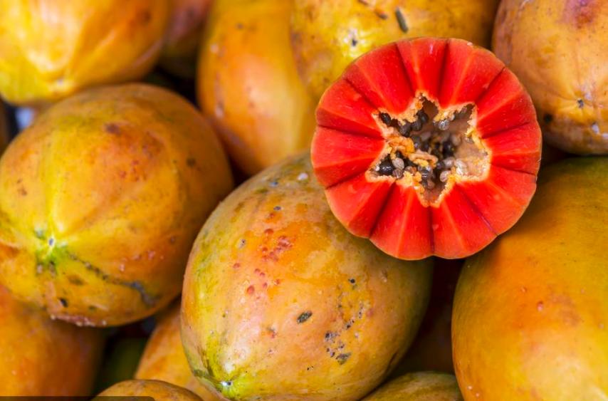 番木瓜和什么搭配是常见吃法,木瓜和番木瓜是不是一个东西