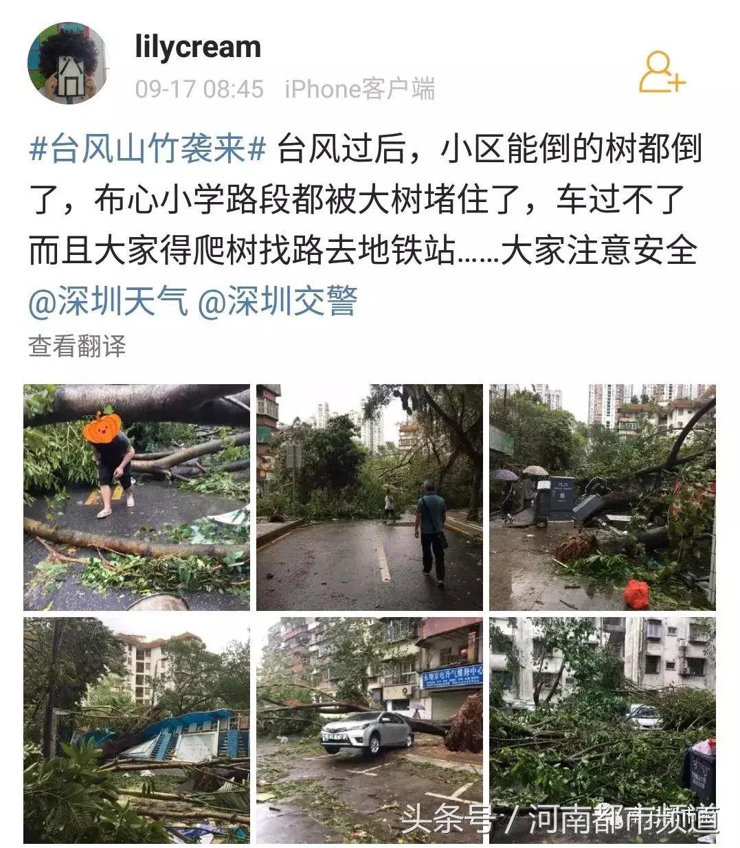 “山竹”过后首个工作日：广东人爬树都要去上班！