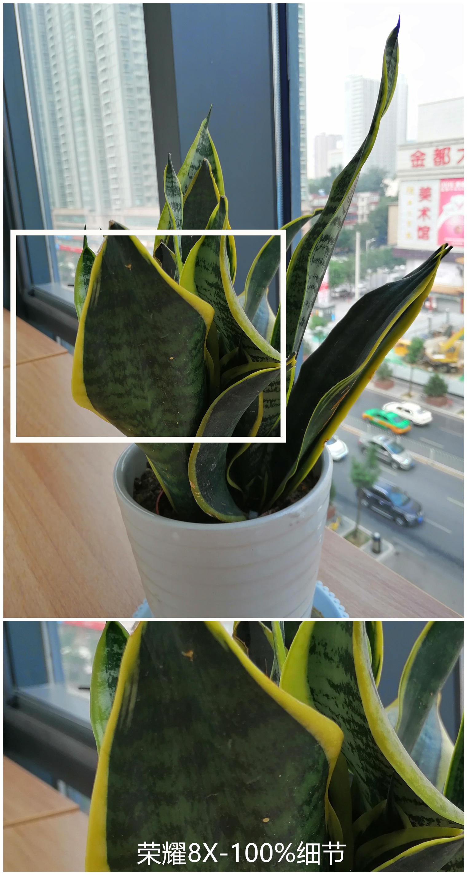 荣耀8x和iphonex有什么区别,荣耀8与iphonex的相片比较