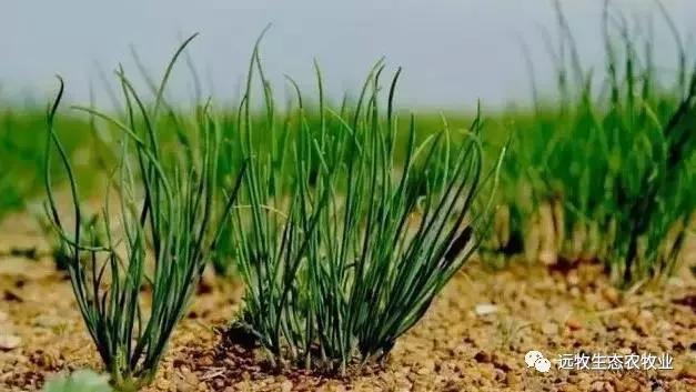 什么叫做生意和买卖,什么叫做生意最简单