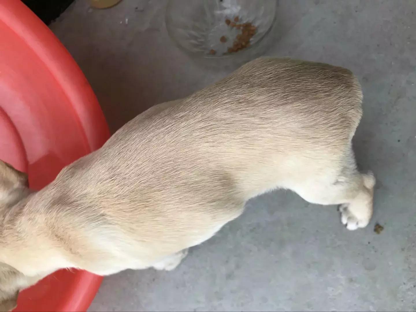 老闷儿山东话,老闷儿是什么