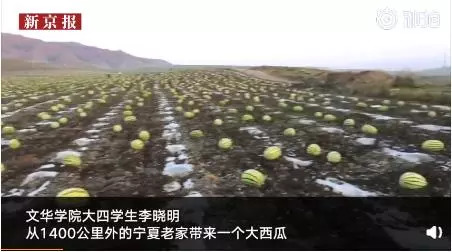 「蜀黍周趣闻」爆笑！收到2米多高代购清单的男子代购回来啦！