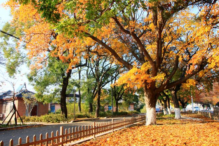 那些留在大城市的人都怎样了,在大连待过的人