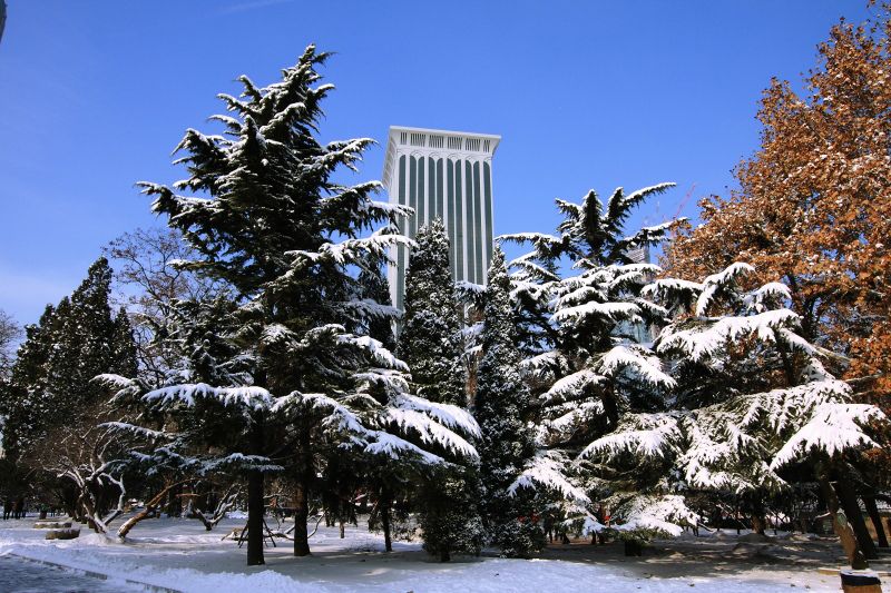 那些留在大城市的人都怎样了,在大连待过的人