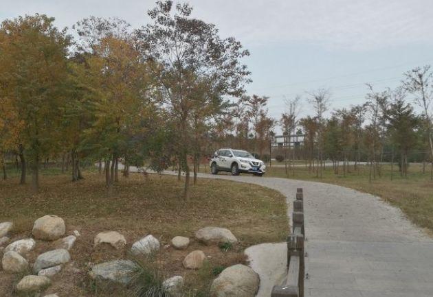 奇骏提车一月了,奇骏2014款奇骏2.5lcvt至尊版4wd