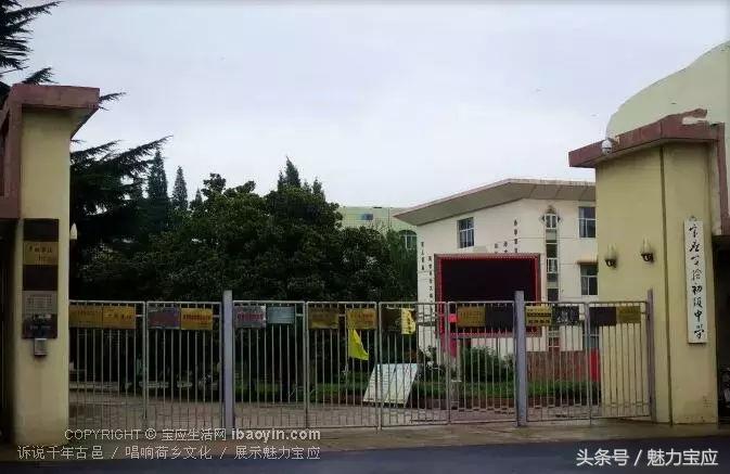宝应中学老师印象片羽