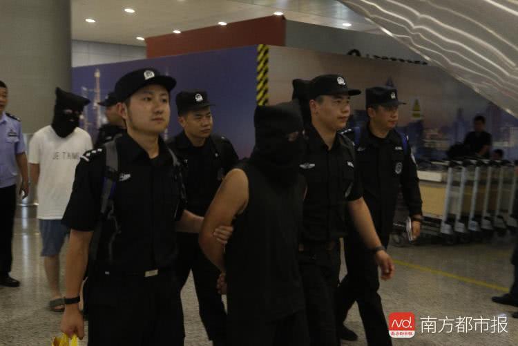 色情直播平台：6次改名只为发展慢些，主犯均为本科