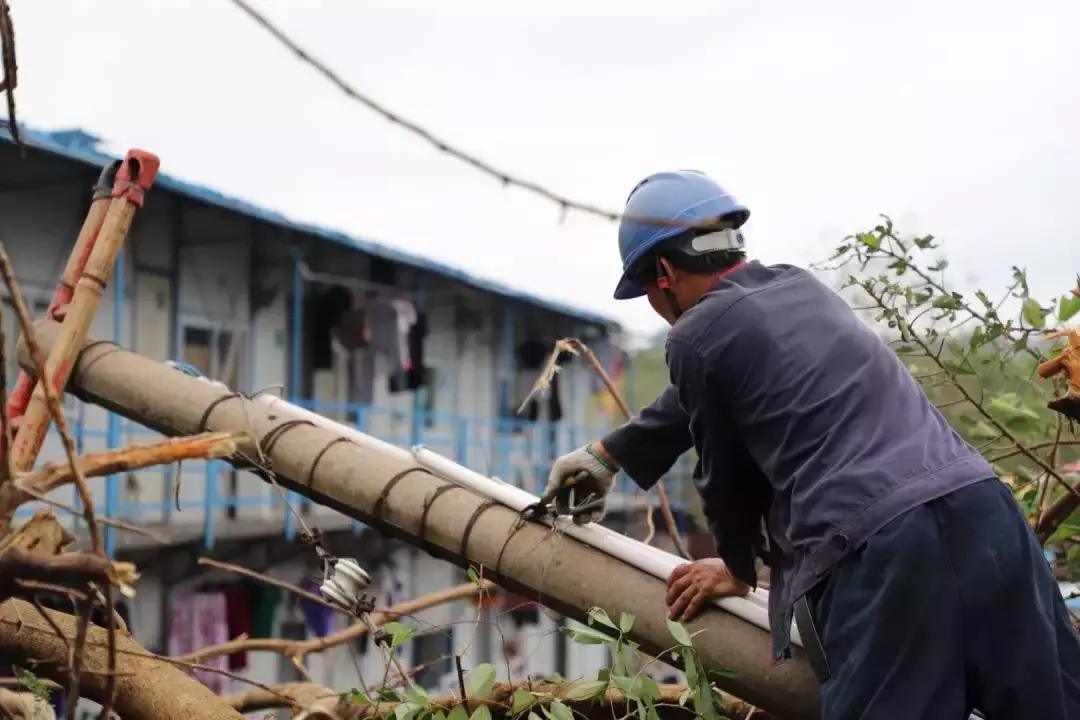 请给他们多一点时间！端州全城风后大修缮