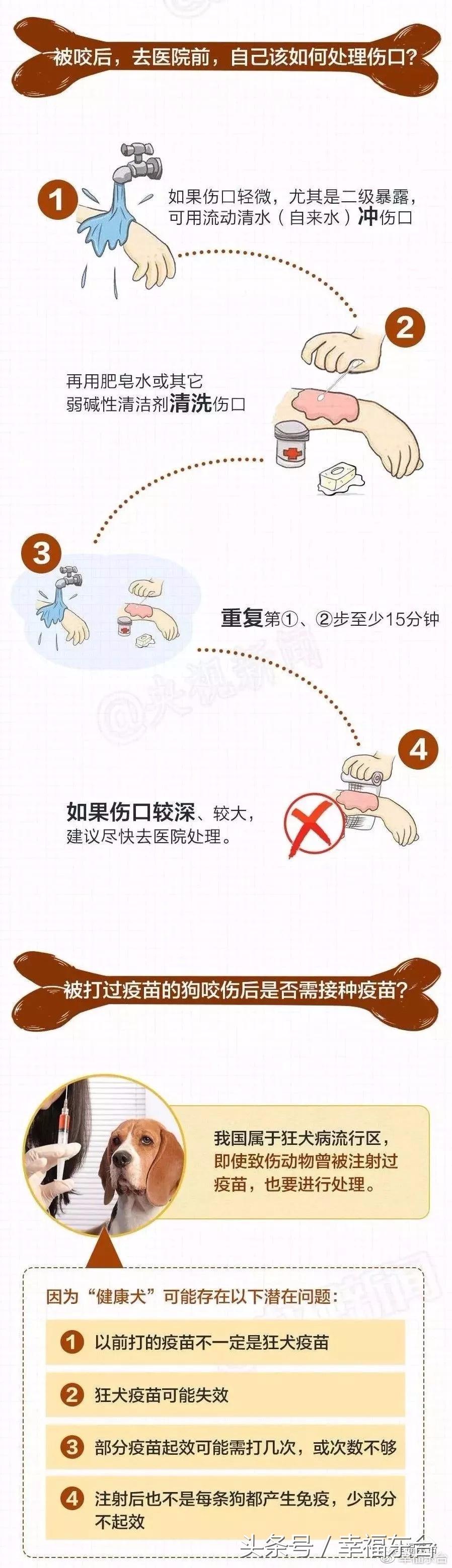 关于养犬致全体市民的一封公开信,通知给养犬居民的一封信请查收