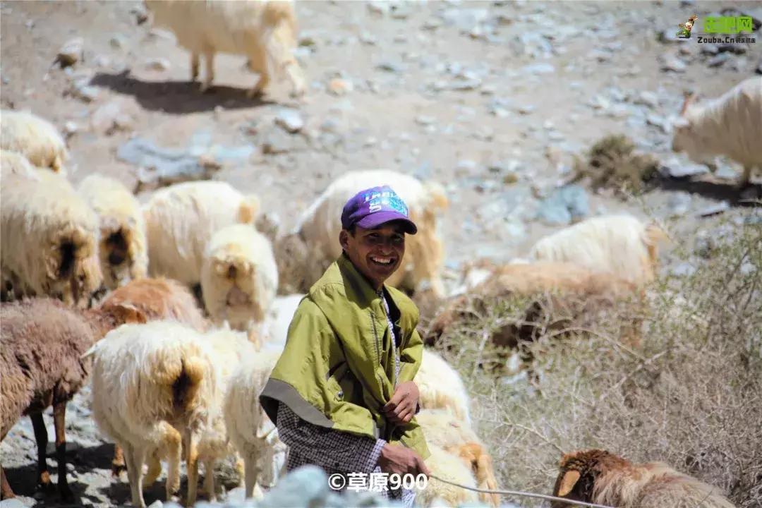 跟着大咖体验南疆最经典路线，玄奘东归路、沙漠胡杨、民俗风情！