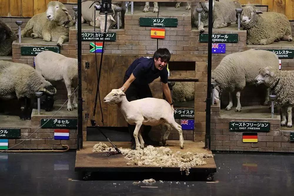 亲子牧场推荐,亲子牧场有哪些