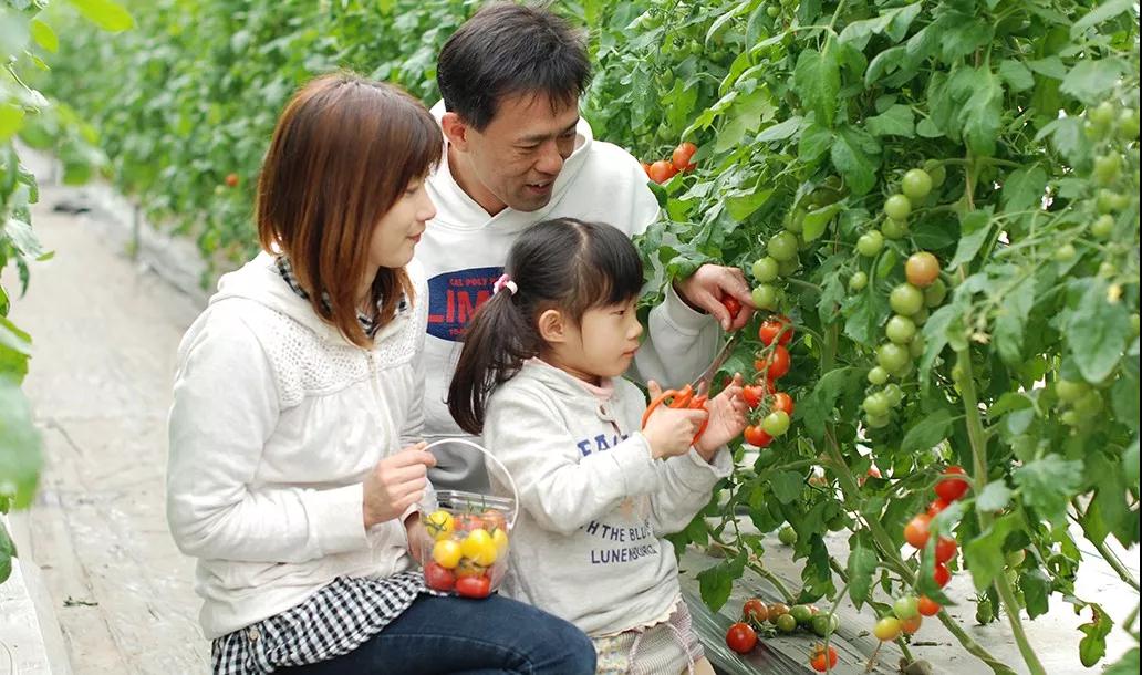 亲子牧场推荐,亲子牧场有哪些