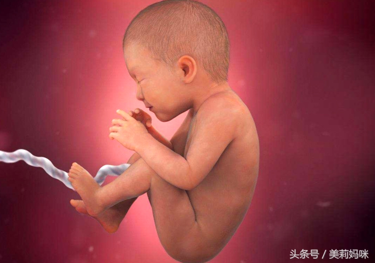 有过胎停育的孕妇怎么办,当孕妇出现胎膜早破时怎么护理