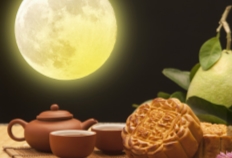 美度情人节手表推荐,瑞士美度金表