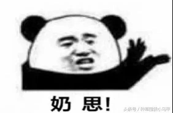 mac正品和假货使用有啥区别吗,二十几的mac真的假的