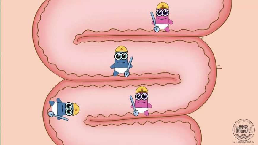 喝酸奶补充益生菌竟然不靠谱,靠喝酸奶补充益生菌原来不靠谱