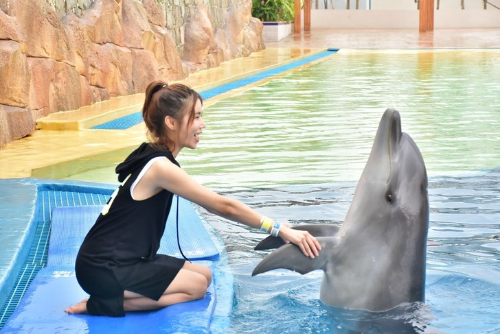 三亚亚特兰蒂斯酒店体验讲解,三亚亚特兰蒂斯酒店自由行攻略