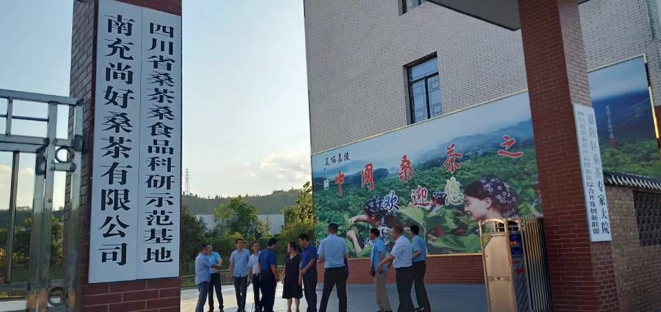 南充嘉陵网红前十名,南充十大著名的人