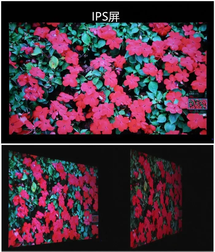 电竞显示器ips和pva面板哪个更好,铅锤哥显示器缺点